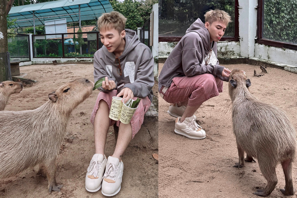 Chân dung ngôi sao Thảo Cầm Viên khiến Sơn Tùng M-TP tìm đến chụp ảnh - 1 Chân dung ngôi sao Thảo Cầm Viên khiến Sơn Tùng M-TP tìm đến chụp ảnh - 1