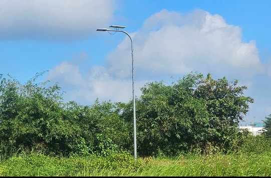 - Ảnh 6. - Ảnh 6.