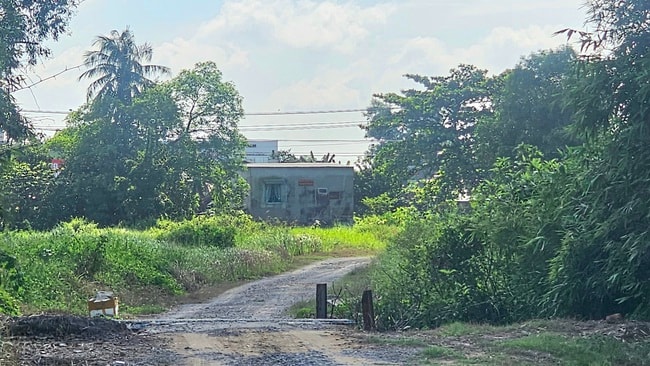 - Ảnh 4. - Ảnh 4.