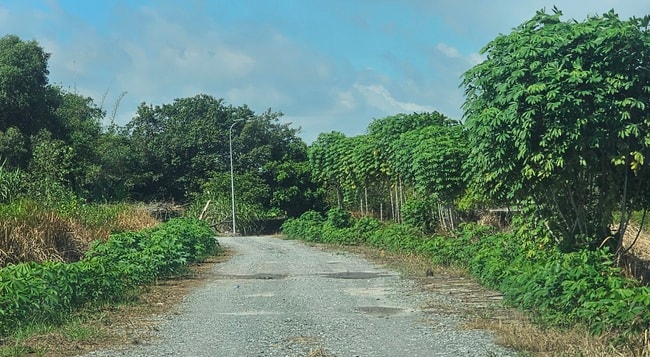 - Ảnh 3. - Ảnh 3.