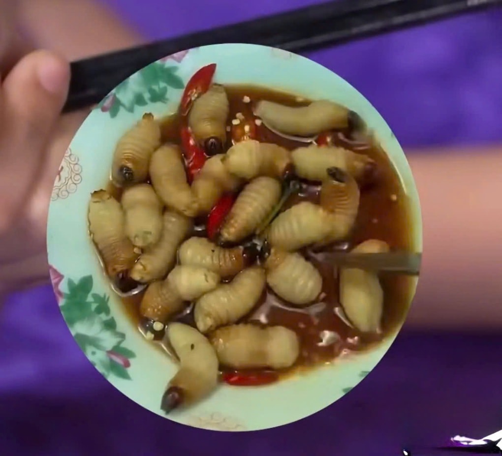 Tài tử Hàn Quốc nhắm mắt, toát mồ hôi khi ăn đuông dừa ở Việt Nam - 2 Tài tử Hàn Quốc nhắm mắt, toát mồ hôi khi ăn đuông dừa ở Việt Nam - 2