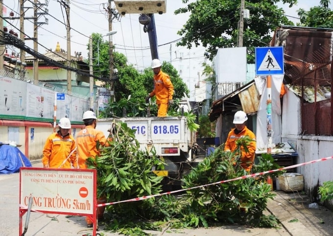 Công nhân ngành điện phối hợp với đơn vị quản lý cây xanh chặt tỉa, ngăn ngừa cây ngã vào lưới điện. Ảnh: EVNHCMC