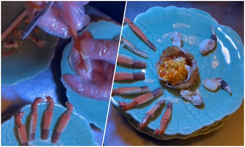 Chiêu tách thịt cua theo phong cách quý tộc