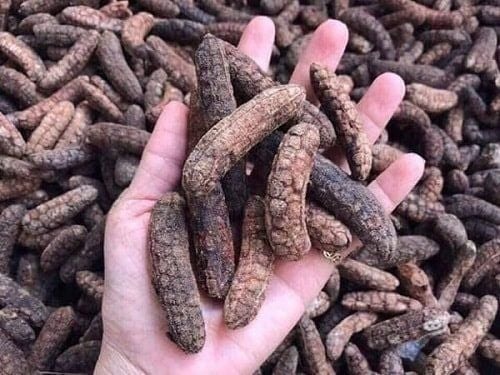 Loại quả xưa rụng đầy gốc nay thành đặc sản dân phố săn lùng, 150.000 đồng/kg - Ảnh 4.