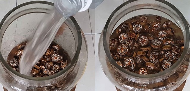Loại quả xưa rụng đầy gốc nay thành đặc sản dân phố săn lùng, 150.000 đồng/kg - Ảnh 5.