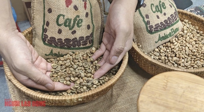 Giá cà phê hôm nay 16 - 10: Tăng trưởng cà phê Robusta và sự cạnh tranh từ Trung Quốc - Ảnh 1. Giá cà phê hôm nay 16 - 10: Tăng trưởng cà phê Robusta và sự cạnh tranh từ Trung Quốc - Ảnh 1.