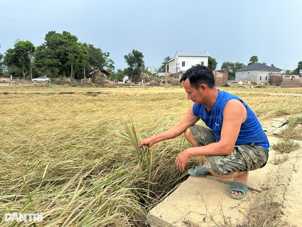 Chiến sĩ An ninh cơ sở đi chống lũ, nhà bị “tàu ma” đâm sập - 1 Chiến sĩ An ninh cơ sở đi chống lũ, nhà bị “tàu ma” đâm sập - 1
