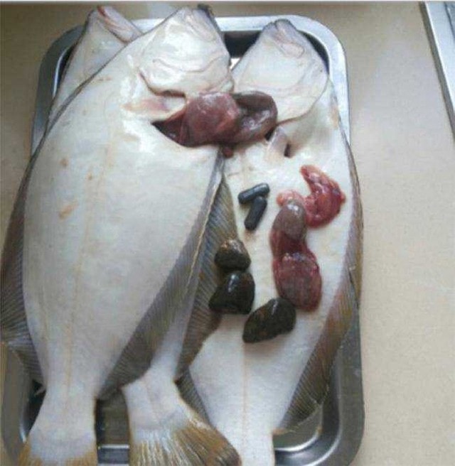 Mổ bụng cá, ngư dân sốc nặng khi phát hiện tiền mặt bên trong - Ảnh 4.