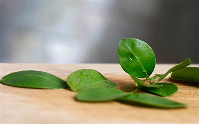 Đừng chỉ ăn quả, lá loại cây này quý như "nhân sâm người nghèo" ở quê mọc um tùm - Ảnh 2.