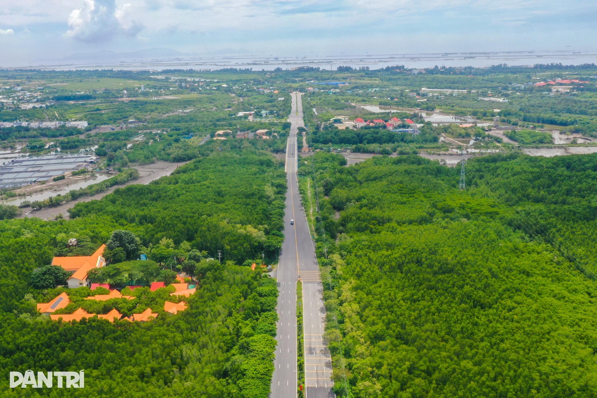 Mạch sống nối trung tâm TPHCM với vùng biển Cần Giờ - 11 Mạch sống nối trung tâm TPHCM với vùng biển Cần Giờ - 11