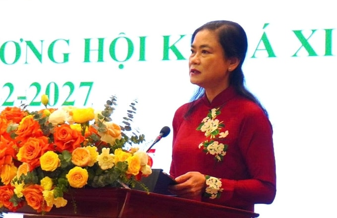 Bà Đỗ Thị Thu Thảo phát biểu chiều 18/10. Ảnh: Hội Chữ thập đỏ Việt Nam