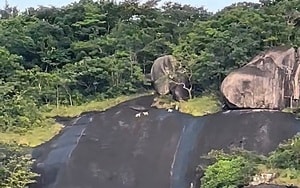 Cuộc săn lùng được phát động sau khi cần thủ kéo lên một sinh vật lạ - Ảnh 4.