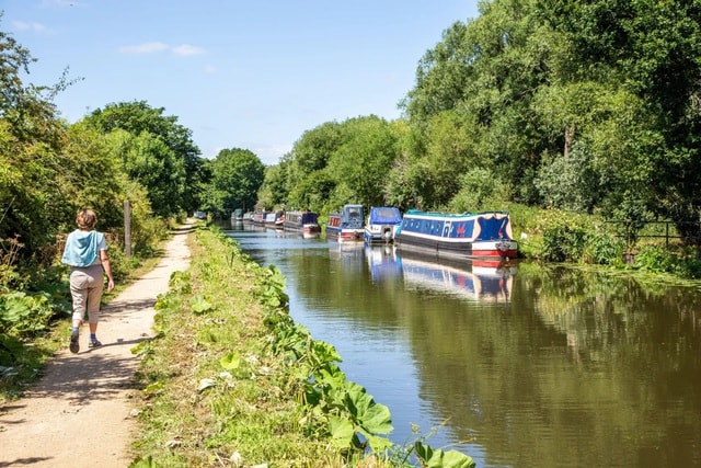 Cuộc săn lùng được phát động sau khi cần thủ kéo lên một sinh vật lạ - Ảnh 2. Cuộc săn lùng được phát động sau khi cần thủ kéo lên một sinh vật lạ - Ảnh 2.