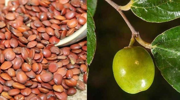 Thứ 90% người Việt bỏ đi không ngờ là "mỏ vàng", giá hơn 2 triệu đồng/kg - Ảnh 1.