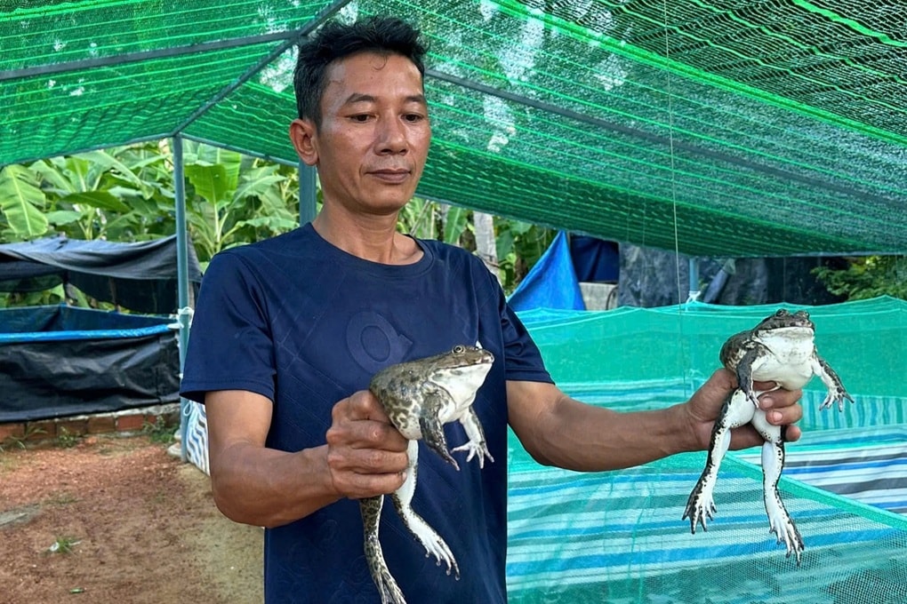 Ngư dân quyết định bỏ biển về bờ, thu nhập hàng trăm triệu đồng từ nghề mới - 2 Ngư dân quyết định bỏ biển về bờ, thu nhập hàng trăm triệu đồng từ nghề mới - 2