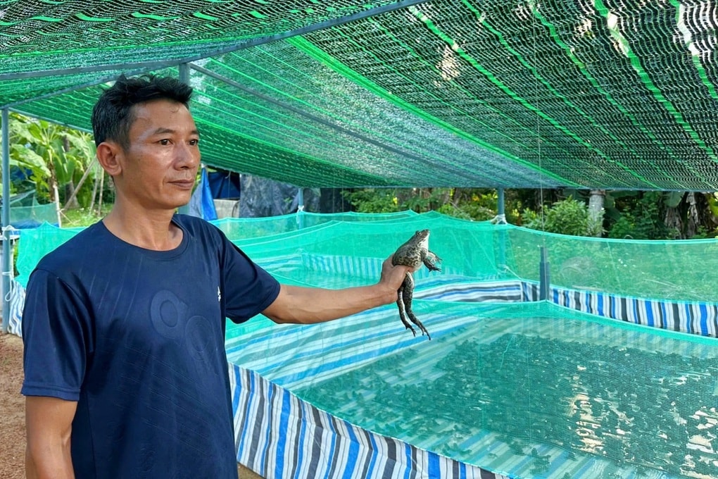 Ngư dân quyết định bỏ biển về bờ, thu nhập hàng trăm triệu đồng từ nghề mới - 1 Ngư dân quyết định bỏ biển về bờ, thu nhập hàng trăm triệu đồng từ nghề mới - 1
