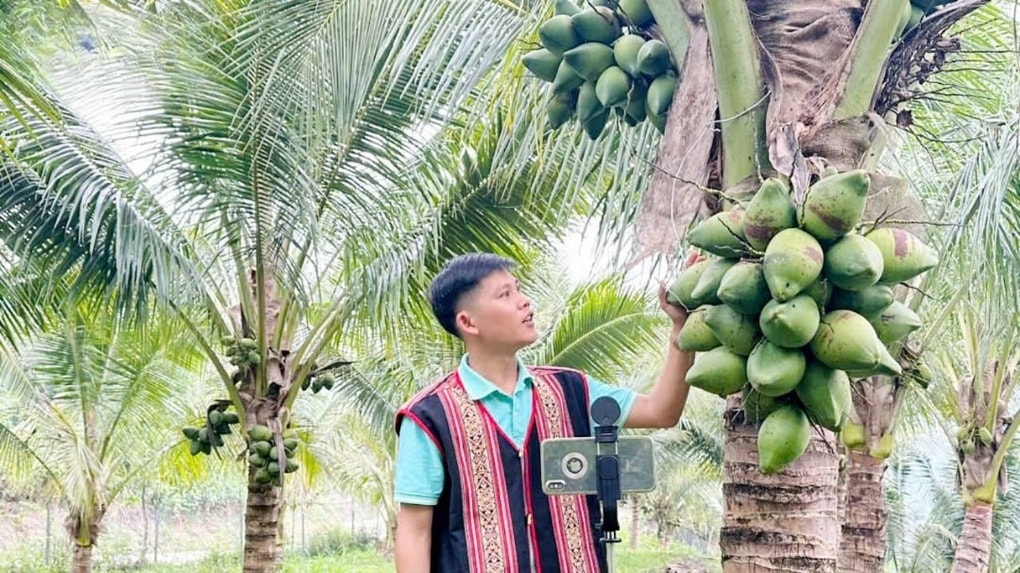 Quảng Ngãi: Mô hình “cầm tay, chỉ việc” giúp người dân thoát nghèo - 1 Quảng Ngãi: Mô hình “cầm tay, chỉ việc” giúp người dân thoát nghèo - 1