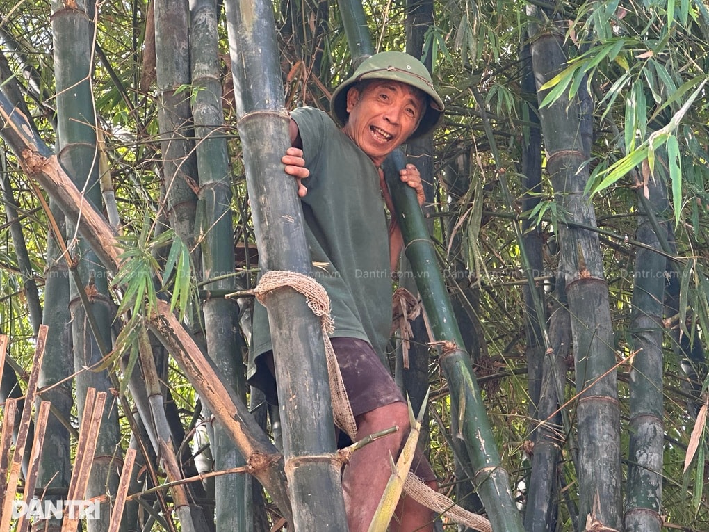 Cụ ông bị lũ cuốn ra bụi tre, mắt đỏ hoe nhìn nhà sập - 1 Cụ ông bị lũ cuốn ra bụi tre, mắt đỏ hoe nhìn nhà sập - 1