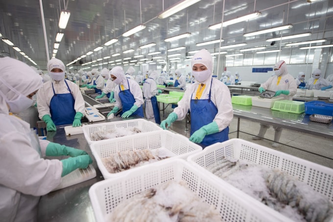 Công nhân đang làm việc tại nhà máy của Fimex. Ảnh: PAN