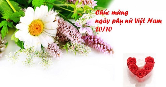 Những mẫu thiệp chúc mừng ngày Phụ nữ Việt Nam 20/10 đẹp nhất- Ảnh 15. Những mẫu thiệp chúc mừng ngày Phụ nữ Việt Nam 20/10 đẹp nhất- Ảnh 15.