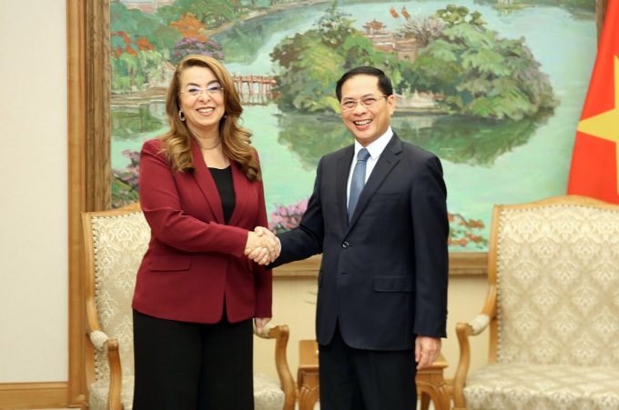 Phó thủ tướng Bùi Thanh Sơn tiếp xã giao bà Ghada Waly tại trụ sở chính phủ ngày 21/10. Ảnh: VGP