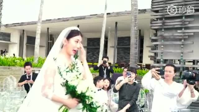 Giả Tịnh Văn đám cưới