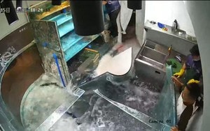 Sét đỏ hiếm gặp được ghi lại trên bầu trời New Zealand - Ảnh 3.