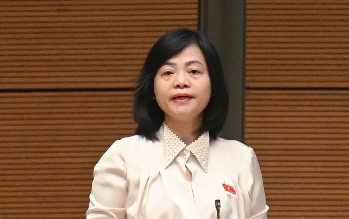 Bà Nguyễn Thanh Cầm, đại biểu Quốc hội đoàn Đồng Tháp. Ảnh: Media Quốc hội