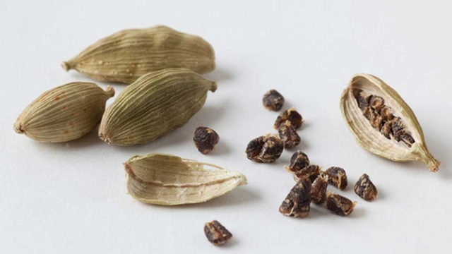 Loại hạt đắt đỏ bậc nhất thế giới, giá tận 2 triệu/kg không ngờ có đầy ở Việt Nam - Ảnh 3.