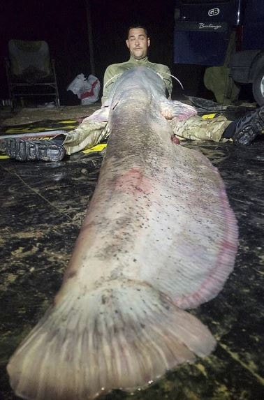 Cần thủ câu được con cá khổng lồ dài 2,97 mét, nặng 117kg - Ảnh 2.