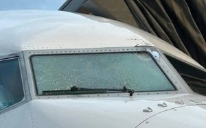 Kẻ săn mồi bí ẩn khiến dân làng kinh hãi có thể chỉ mèo nhà? - Ảnh 4.
