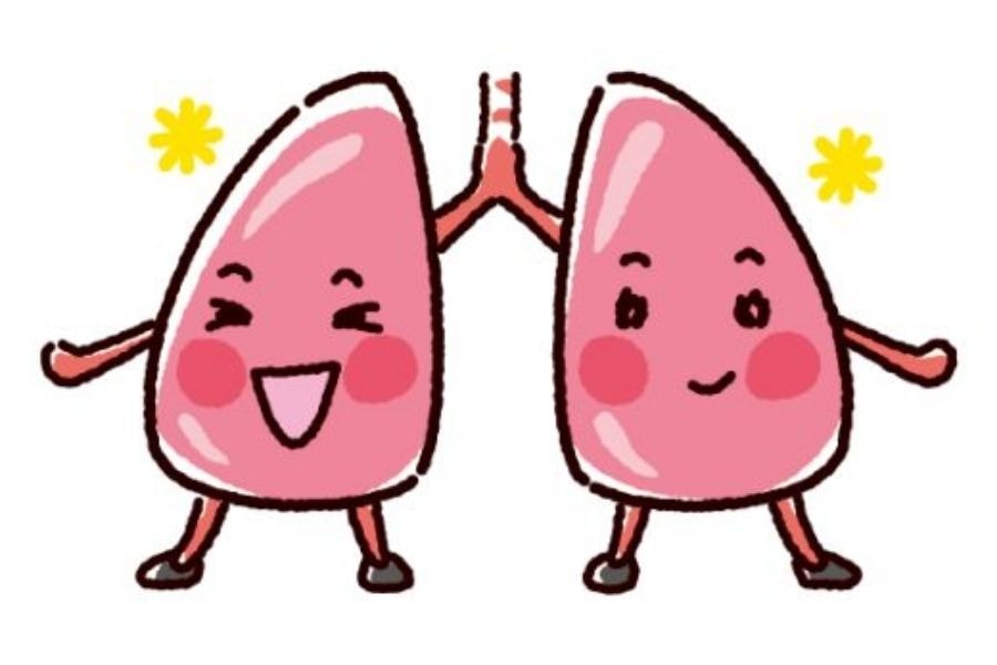 4 thói quen giúp bảo vệ thận tốt hơn (Pinterest)