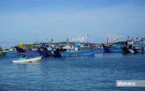 Đặc khu mới của Lâm Đồng hướng tới trung tâm kinh tế biển, du lịch xanh- Ảnh 10. Đặc khu mới của Lâm Đồng hướng tới trung tâm kinh tế biển, du lịch xanh- Ảnh 10.