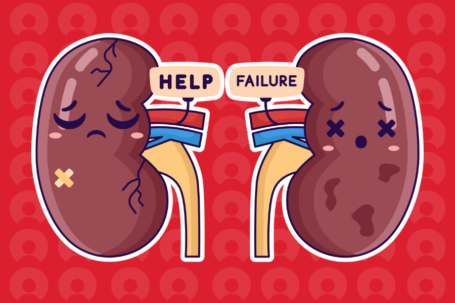 Thận đang suy vì bạn đang sống vội