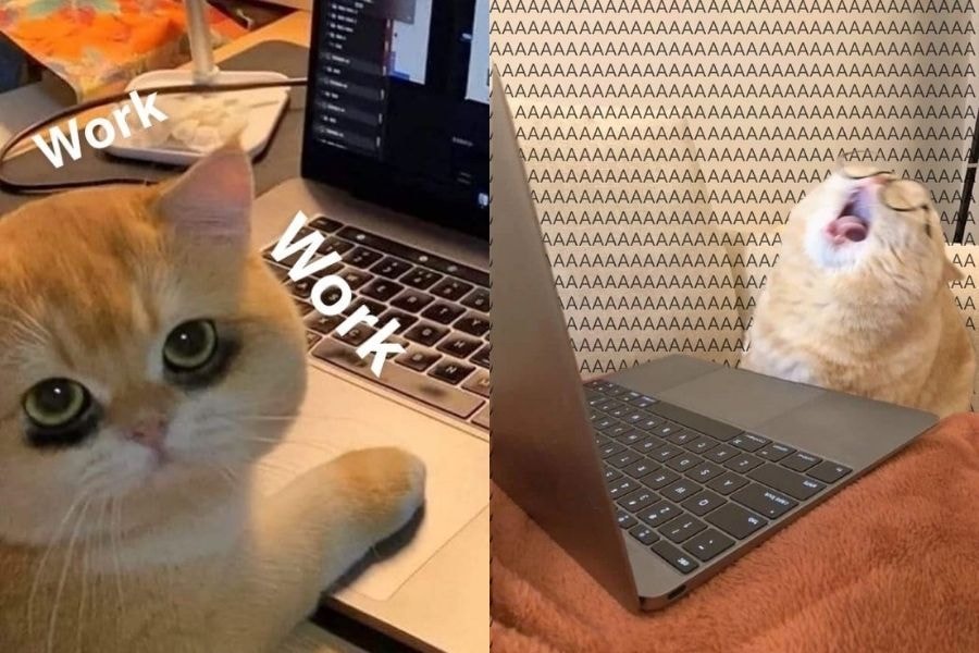 Thức khuya không trực tiếp gây suy thận, mà là thói quen của người thức khuya