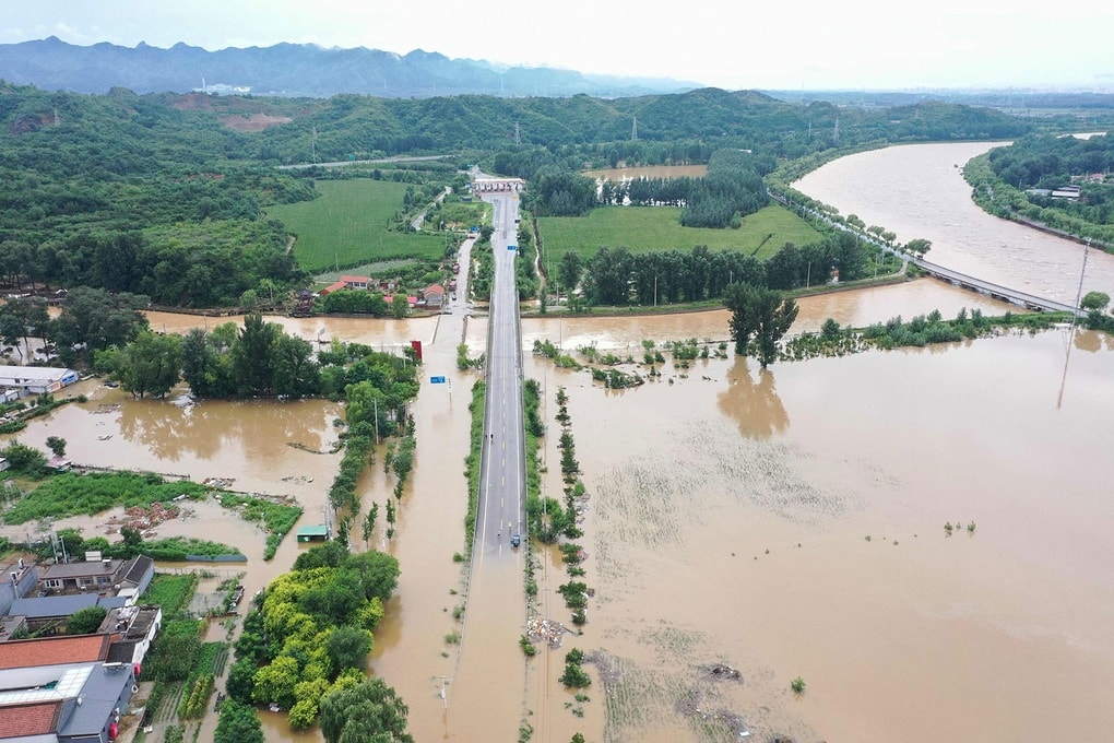 Nông dân mất trắng sau đêm mưa bão, gồng mình chống chọi thiên tai - 2 Nông dân mất trắng sau đêm mưa bão, gồng mình chống chọi thiên tai - 2