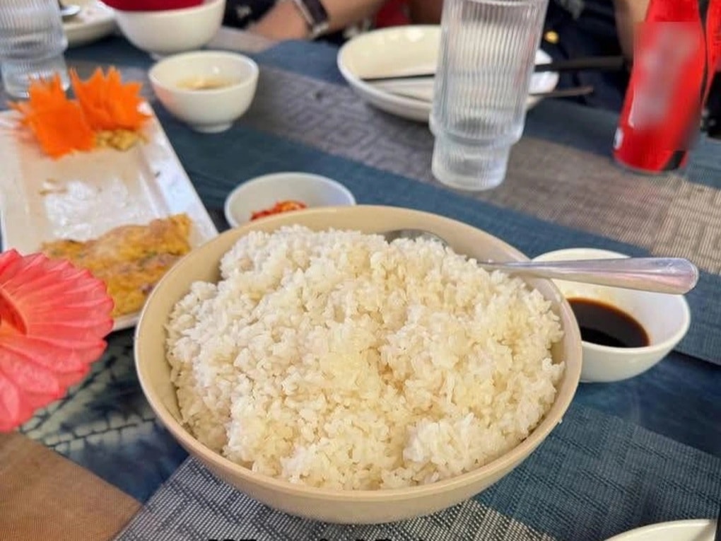 Bát cơm giá 30.000 đồng ở Sa Pa khiến nhóm khách Philippines ngỡ ngàng - 1 Bát cơm giá 30.000 đồng ở Sa Pa khiến nhóm khách Philippines ngỡ ngàng - 1