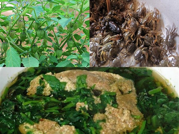 Lợi ích sức khỏe của lá tầm bóp: Bảo vệ gan và kiểm soát đường huyết hiệu quả - Ảnh 7.