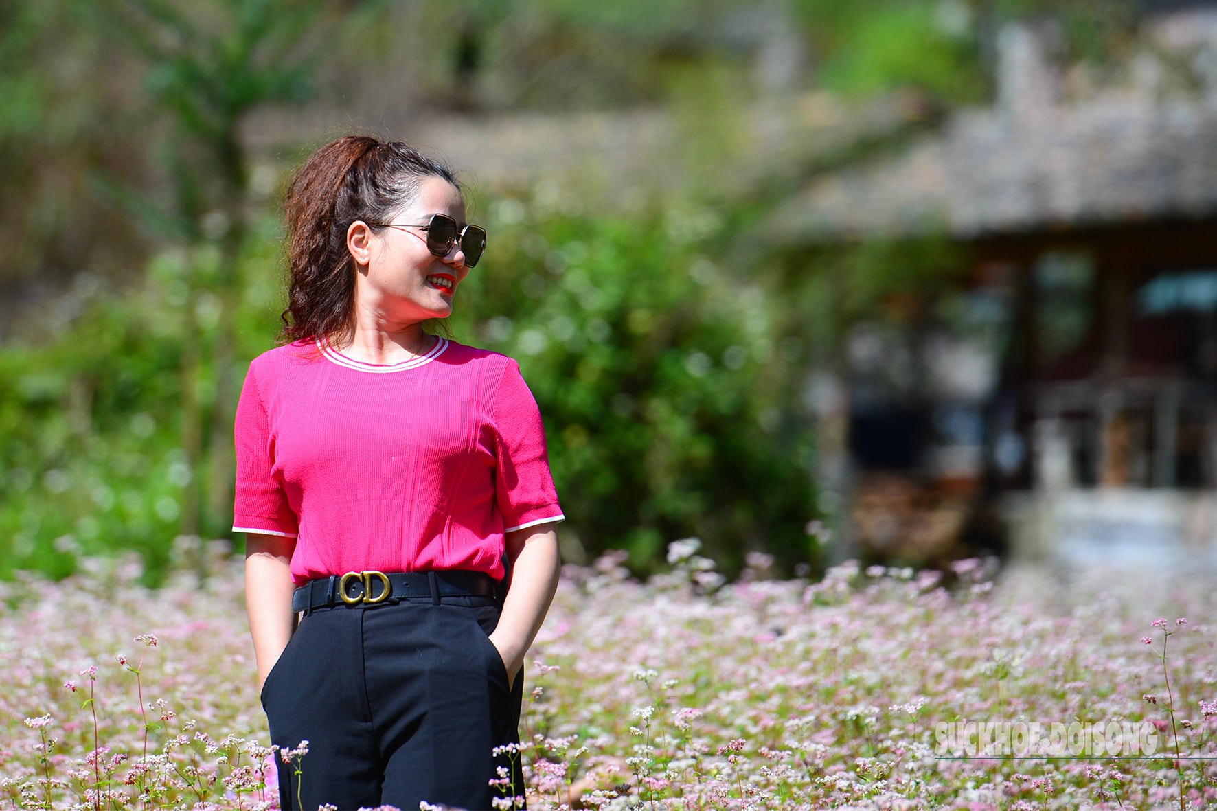 Đắm say mùa hoa tam giác mạch- Ảnh 1.