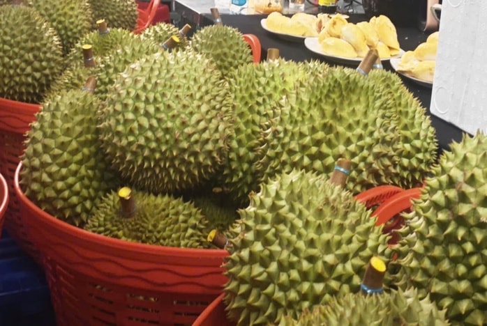 Đề nghị các phòng thử nghiệm Cadimi và Vàng O trong sầu riêng chạy hết công suất - Ảnh 1. Đề nghị các phòng thử nghiệm Cadimi và Vàng O trong sầu riêng chạy hết công suất - Ảnh 1.