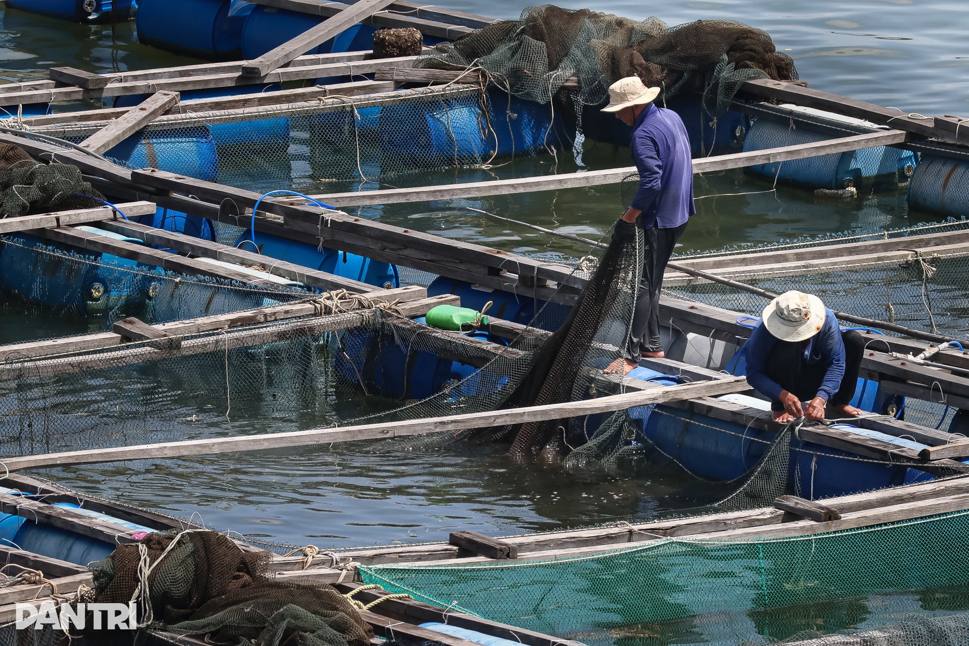 Khám phá khung cảnh bình yên tại xã đảo Long Sơn ở TPHCM - 4