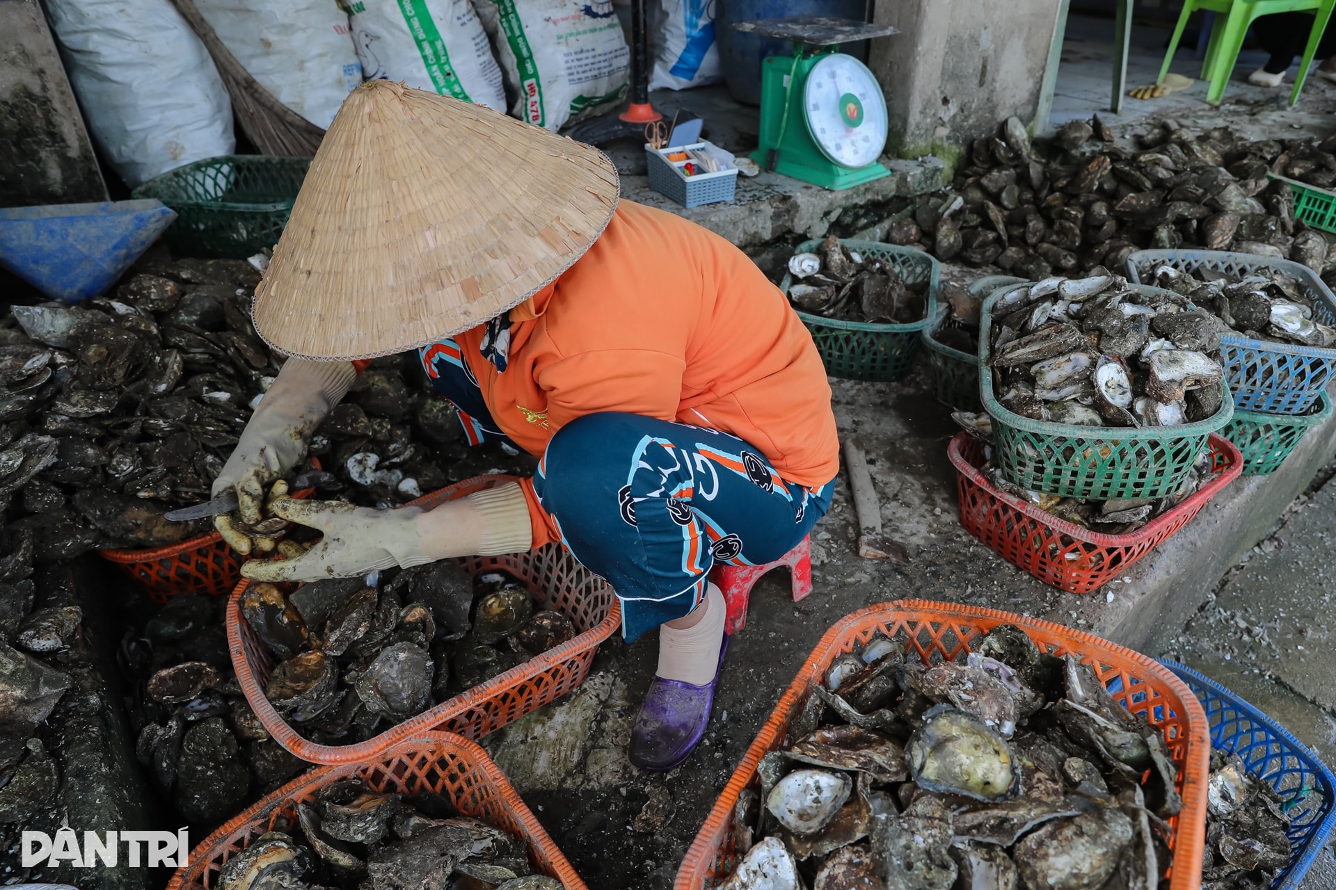 Khám phá khung cảnh bình yên tại xã đảo Long Sơn ở TPHCM - 9