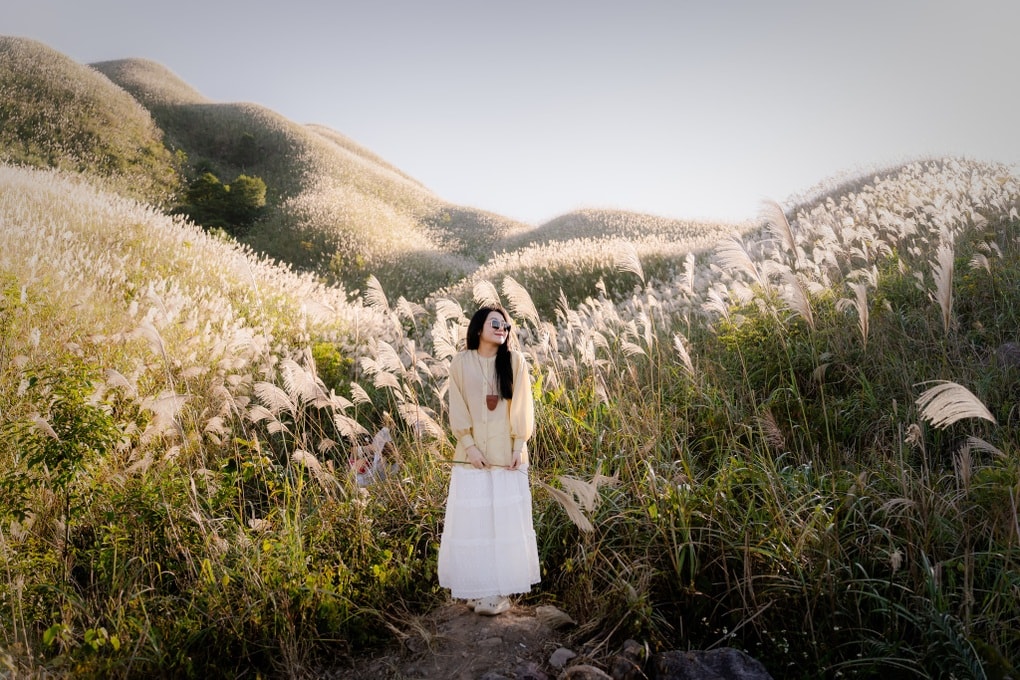 “Thiên đường cỏ lau” Bình Liêu đông nghịt, khách chờ cả tiếng săn ảnh đẹp - 2