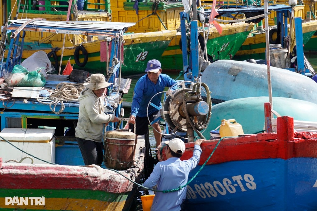 Hỗ trợ gần 9 tỷ đồng tới các chủ tàu không đủ điều kiện khai thác thủy sản - 1 Hỗ trợ gần 9 tỷ đồng tới các chủ tàu không đủ điều kiện khai thác thủy sản - 1