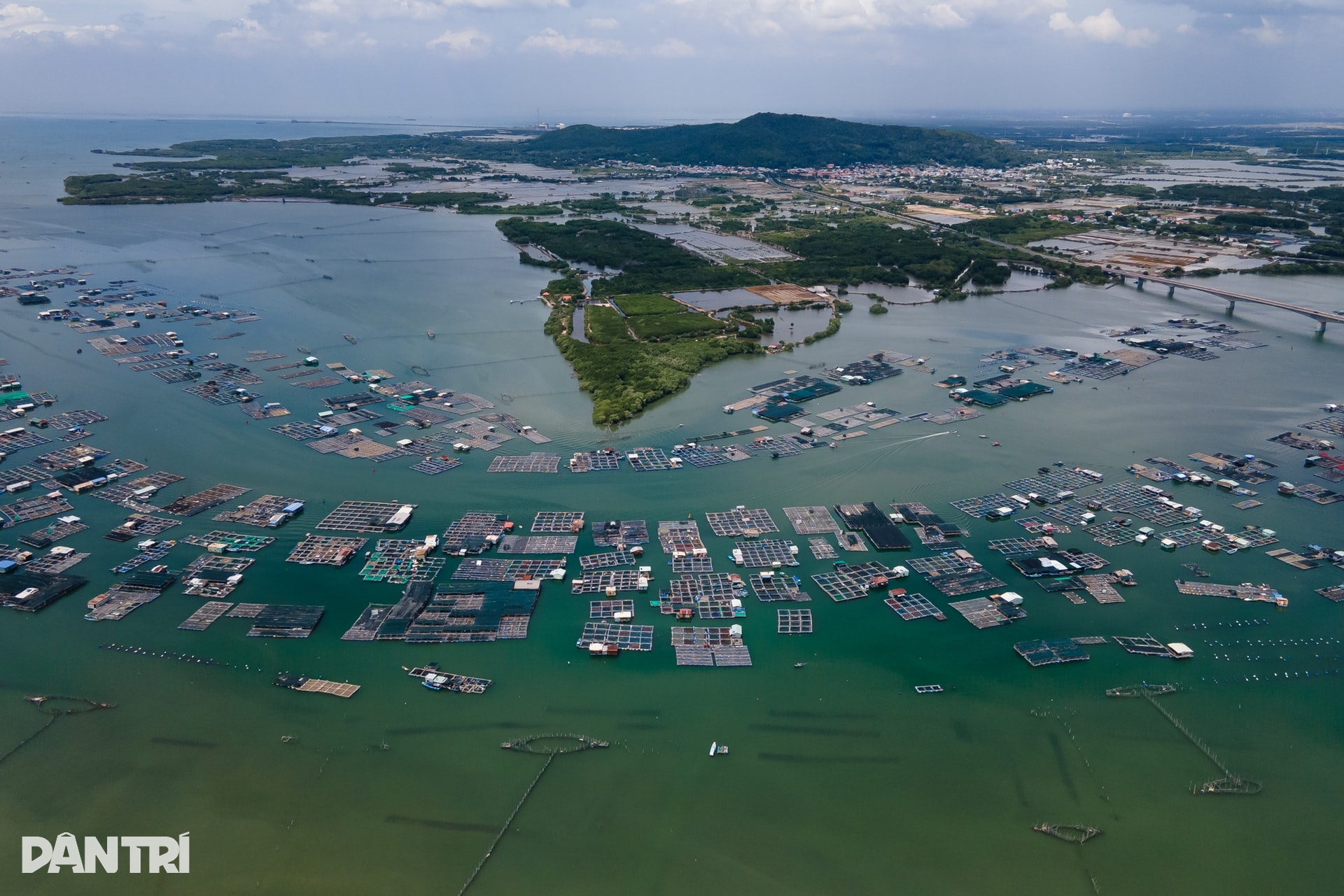 Khám phá khung cảnh bình yên tại xã đảo Long Sơn ở TPHCM - 1