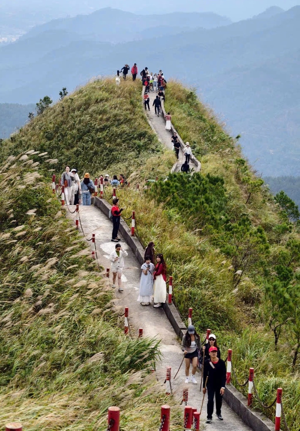 “Thiên đường cỏ lau” Bình Liêu đông nghịt, khách chờ cả tiếng săn ảnh đẹp - 1