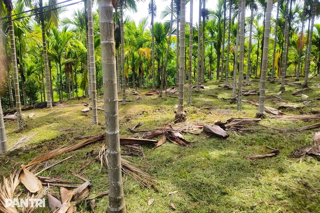 Biến thứ bỏ đi thành sản phẩm tinh xảo để xuất ngoại - 1