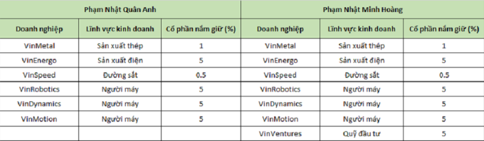 Một số công ty được ông Phạm Nhật Quân Anh và Phạm Nhật Minh Hoàng góp vốn. Ảnh: Trọng Hiếu