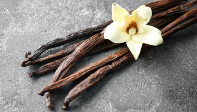 Loại quả đắt đỏ bậc nhất thế giới giá 15 triệu/kg, ở Việt Nam cũng có người trồng thành công- Ảnh 3. Loại quả đắt đỏ bậc nhất thế giới giá 15 triệu/kg, ở Việt Nam cũng có người trồng thành công- Ảnh 3.
