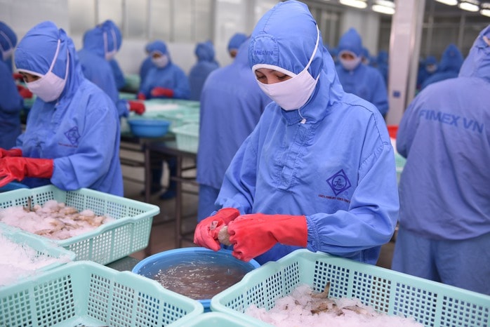 Thuế quan Mỹ có hiệu lực , doanh nghiệp Việt chủ động thích ứng linh hoạt - Ảnh 1.